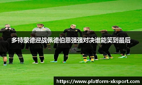 星空体育官网