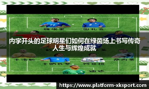 星空体育官网
