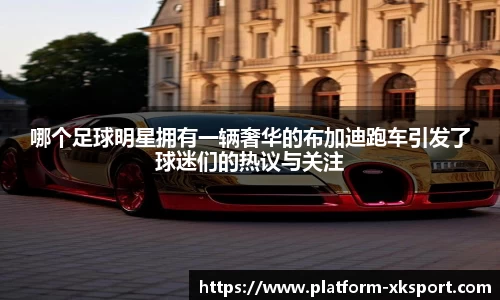 星空体育官网入口