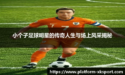 星空体育官网入口